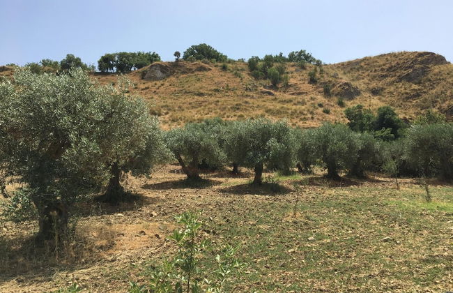 Villa Misita - Foto 40