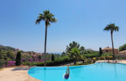 Seaview house, close Cannes, pool, garden. garage - Foto 3