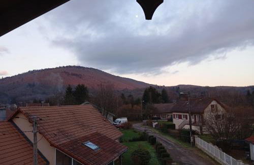 Le poulailler - Foto 17