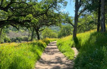 Modern Cabin, Near Snow Park, 3.5 Miles to SNP! - Foto 14