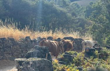 Casa do Beija - Foto 53