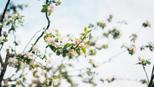 Ferienwohnung Ledergerber - Foto 2