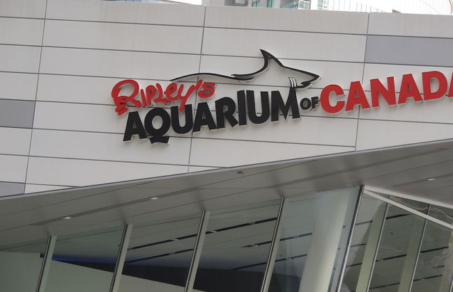 iResidence in Toronto- Vacation Home - Foto 41