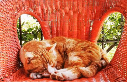 Giardini Hurz - Foto 20