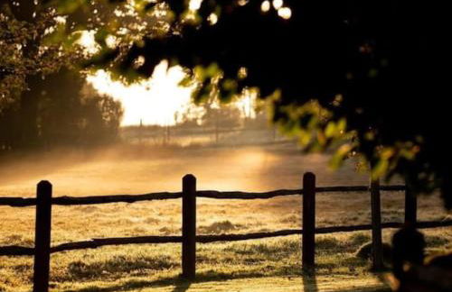 Luxury Farm House with Heated Pool & Jacuzzi - Foto 29