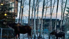 Ruby 1- Beautiful- Peaceful-4Beds 3 baths - Sleeps 12 - Foto 2