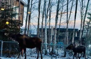 Ruby 1- Beautiful- Peaceful-4Beds 3 baths - Sleeps 12 - Foto 2