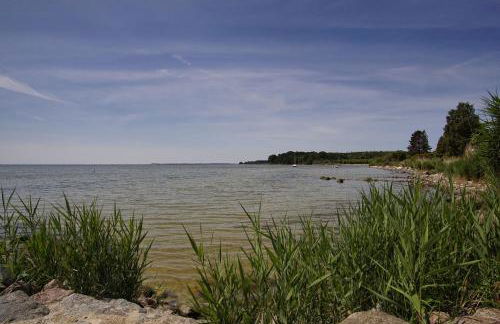 strandnahe Idylle am Meer, private Badestelle mit Strandkorb - Gutshof Ostseeblick FeWo Nr 04 - Photo 2
