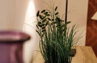 PalatinaZEIT- Apartments in Freinsheim - HAMBURG & BERLIN - stilvoll wohnen unter einem Dach - Foto 52