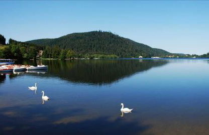 Les Charmois - Spa possible sur un autre site - Foto 20