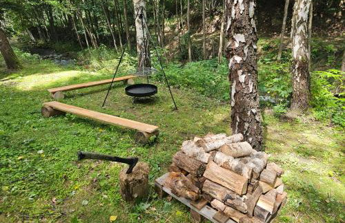 Nad Potokiem z Alpakami - Foto 65