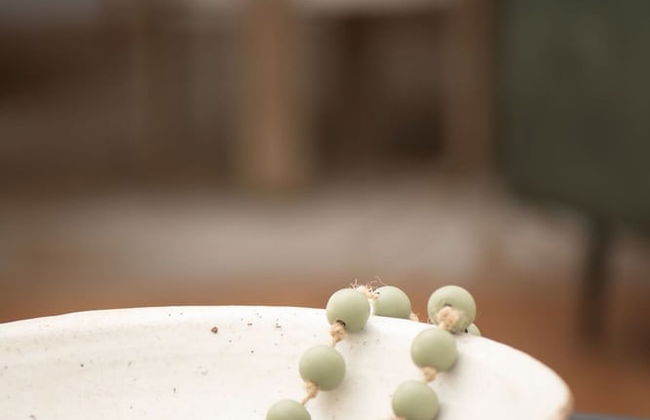 The Nest Cairns - 4 Pools BBQ Resort - Foto 28