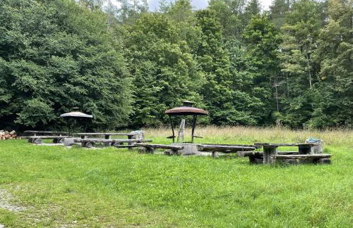 Erlachoase - Photo 54