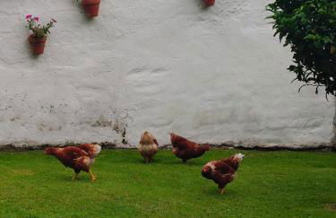 La casa de atrás - Foto 14