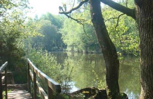 Le petit paradis de broceliande - Foto 37
