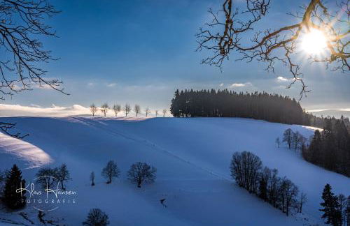 Ferienwohnung "Bergzeit" in Feldberg- Falkau - Foto 20