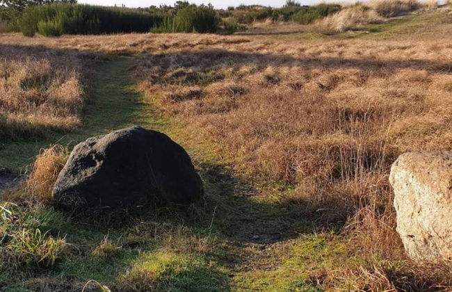 6 Person Holiday Home in Gorlev - Foto 15