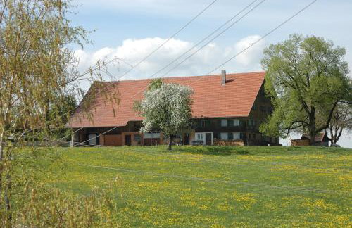 Altes Schulhaus - Foto 42
