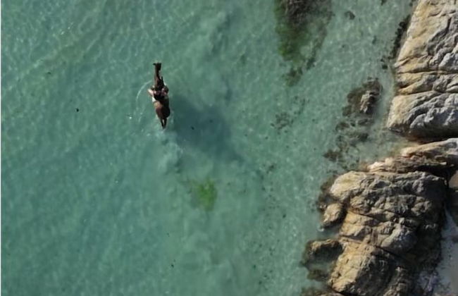 Samui Parkville Lipa Noi Villas - Foto 37