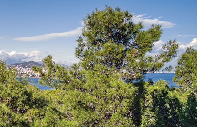 Minimal Blue Villa - Photo 58