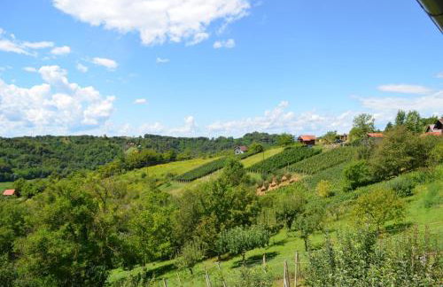 GREENHILLS Relax & Holiday House - Foto 43