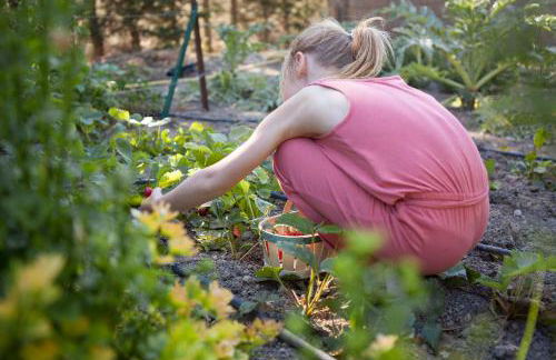 Château de la Motte - Entre Narbonne et le Canal du Midi - Foto 10
