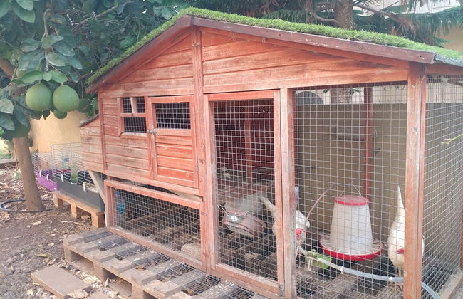 Assaf's Cabin - Foto 19