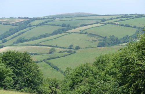 Bramble Cottage on the edge of Exmoor - Foto 32