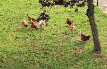 Lanari Valley House - Photo 15