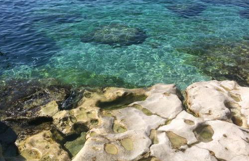 Appart Bianca T2 - Terrasse - Parking - Calme - 1mn de la mer - Photo 39