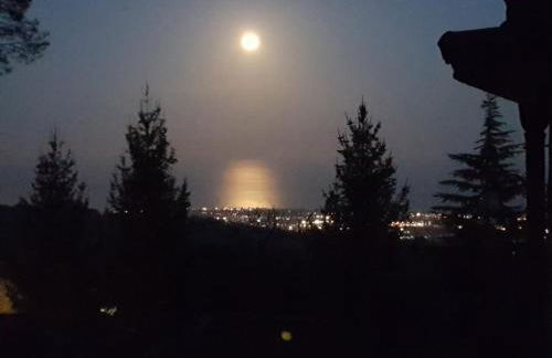 Feudo Algerazzi - Foto 45