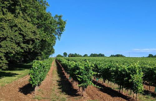 Gîte de charme près de Cognac avec vélos et jardin - FR-1-653-205 - Foto 27