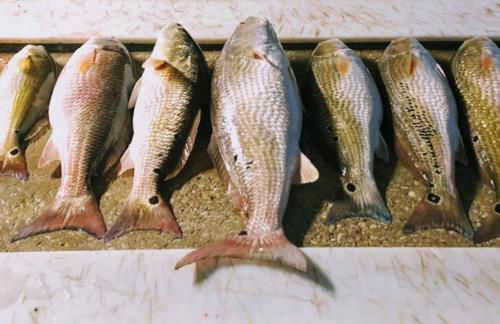 Fyrebird Place - Industrial Loft with Pavilion & Yard - Foto 55