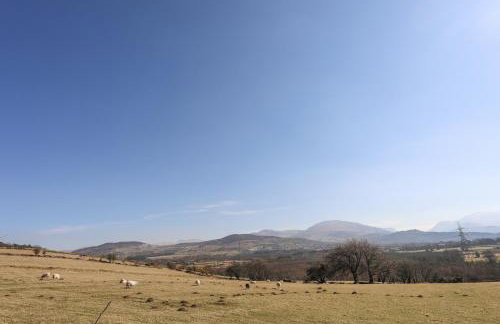 Cwt Mochyn - Foto 25