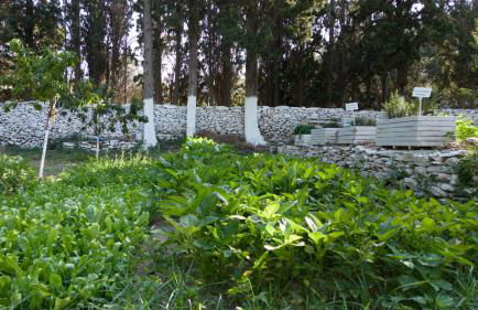 Votsalo Seaside - Foto 8