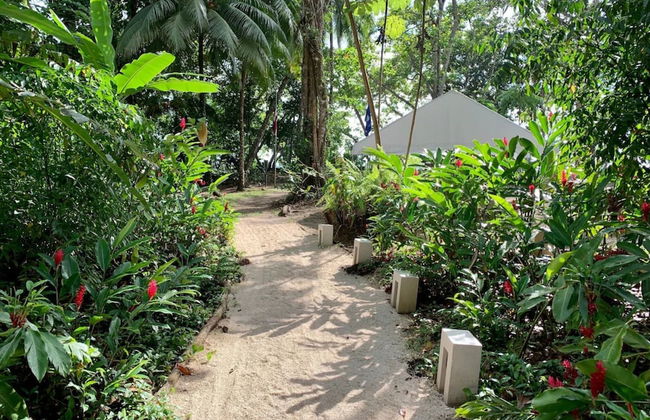 Elan at Ballena Beach - Foto 53