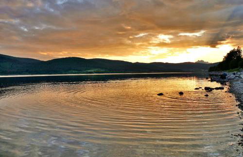 Ferienwohnung Seeblick Nr 2 5-Zimmerwohnung - Feldberg Bärental - Foto 19