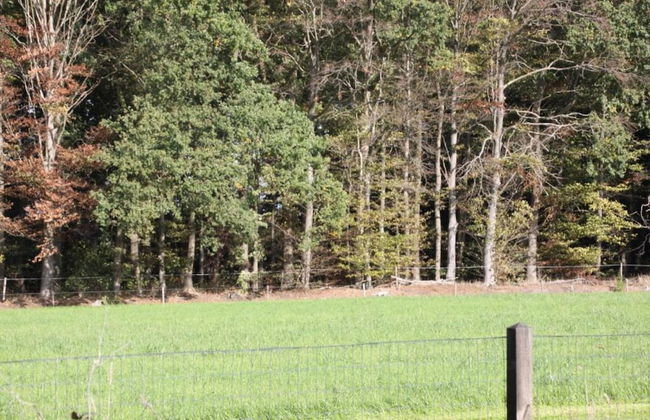 Holiday Home in Haaksbergen by Lake - Photo 29