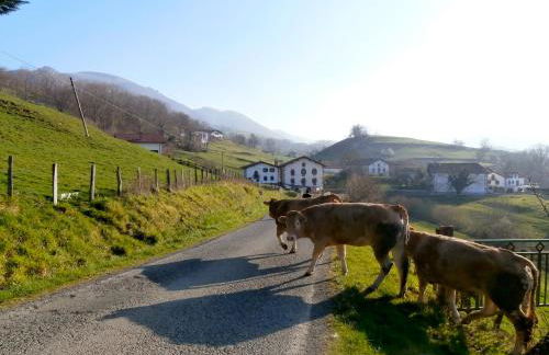 Casa Rural Zigako Etxezuria - Foto 57