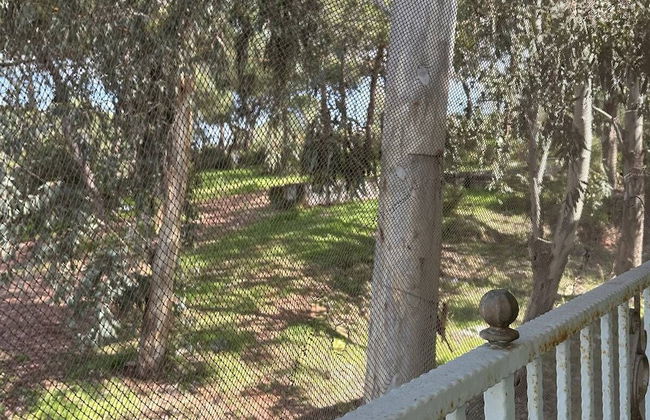 Beyaz Saray Apart Otel - Foto 10