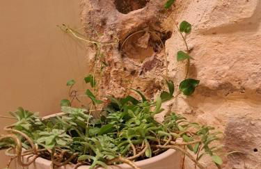 Ai cento scalini - Foto 33