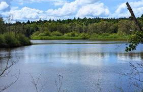 kuscheliges Waldhaus Kaminknistern - Photo 27