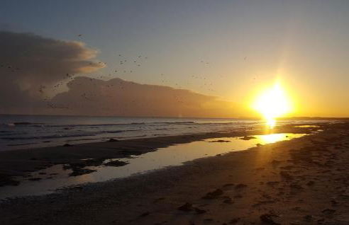 Ferienhaus Ostseebrise Usedom im Grünen familienfreundlich ruhig Parkplatz Terrasse Kamin - Foto 31
