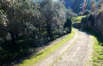 Casa Segantini - Panorama Pool Apartment - Photo 27