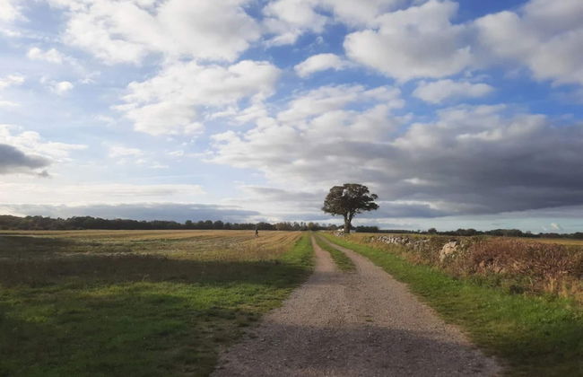 6 Person Holiday Home in Kettinge - Foto 16