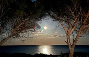 Villa Elma - Foto 33