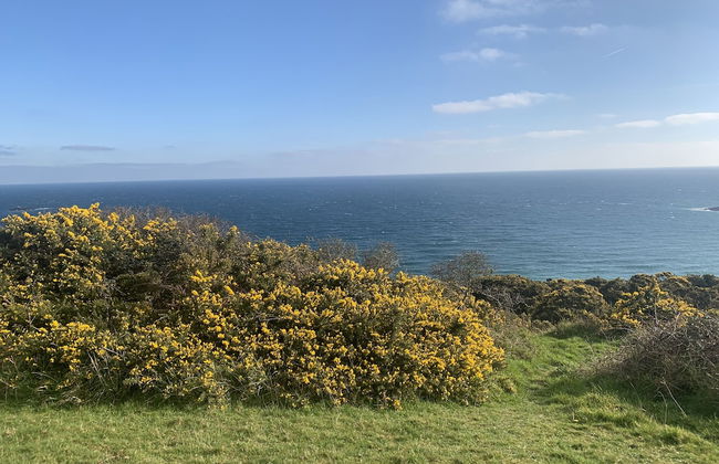 Mevagissey Holiday Home - sea View and Parking - Foto 39