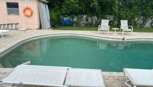 Botanical Tranquility - Foto 3