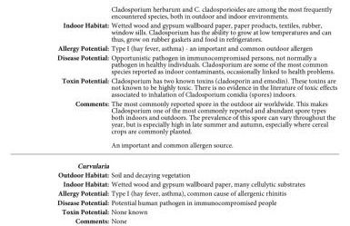 Blissful Townhouse Retreat - Foto 15