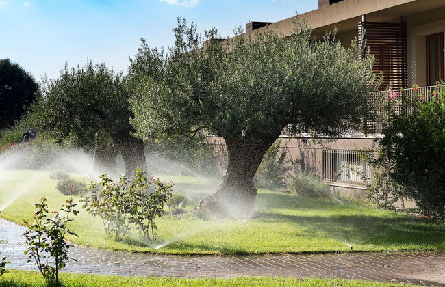 Rocca dei Saraceni - Foto 26